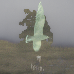 哪灬你的鸣巴好大视频黑人视频
